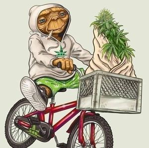 Meet your Posher, Steven